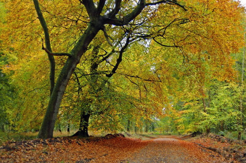 Stonehenge, Salisbury & Wiltshire Road Trip Travel Guide - Who Will Love This Experience?