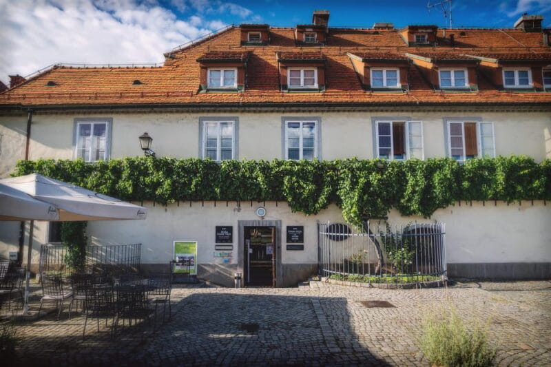 Stories and Tastes of Maribor: City Tour with Wine Tasting - Who Will Love This Tour?