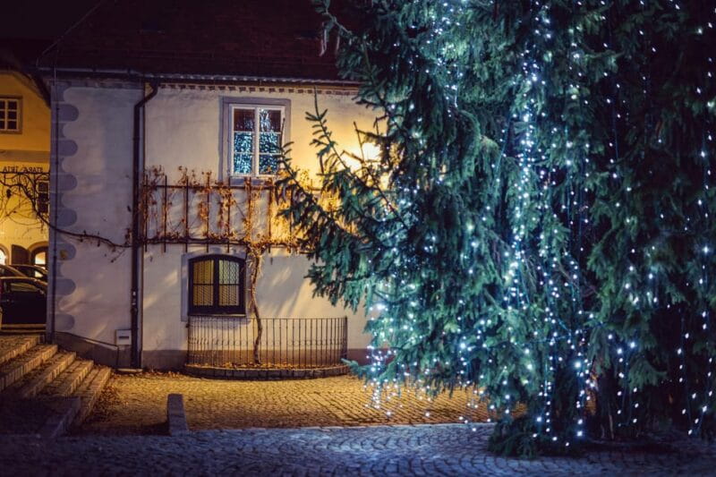 Stories and Tastes of Maribor: City Tour with Wine Tasting - FAQ