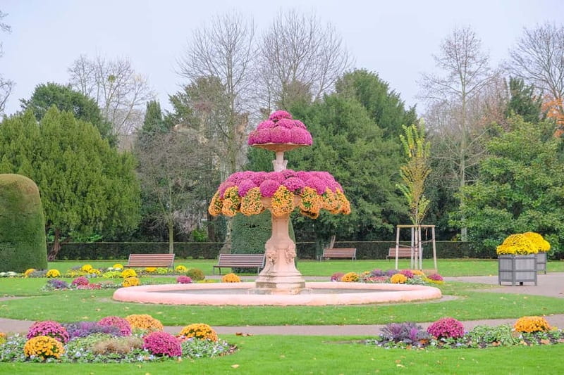 Strasbourg: 1.5-Hour Guided Segway Tour - Key Points / Takeaways