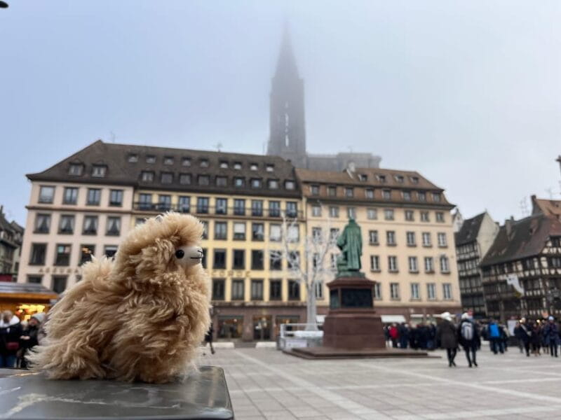Strasbourg: Christmas Walking Tour with Mulled Wine - Who Is This Tour Best For?