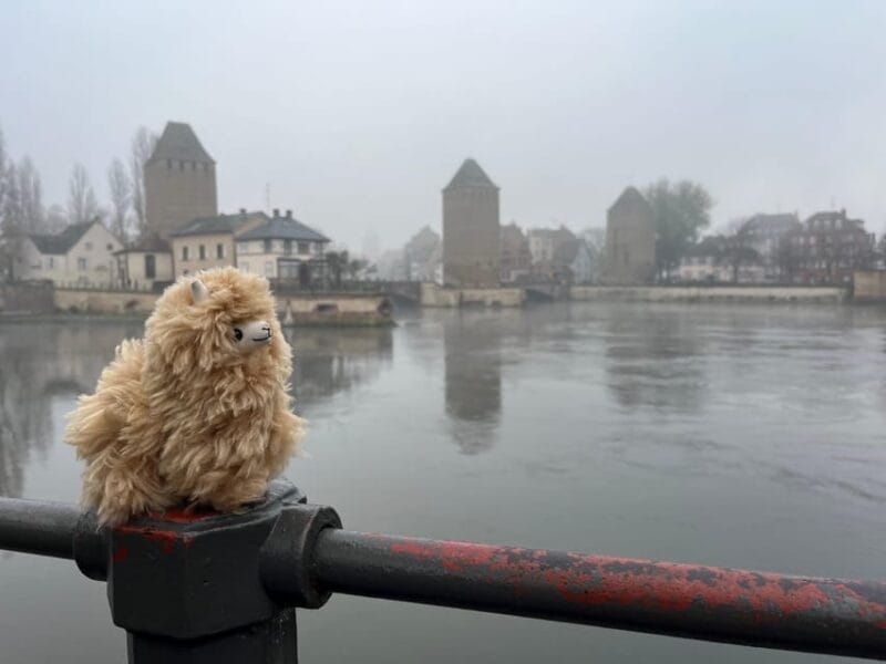 Strasbourg: Christmas Walking Tour with Mulled Wine - FAQ