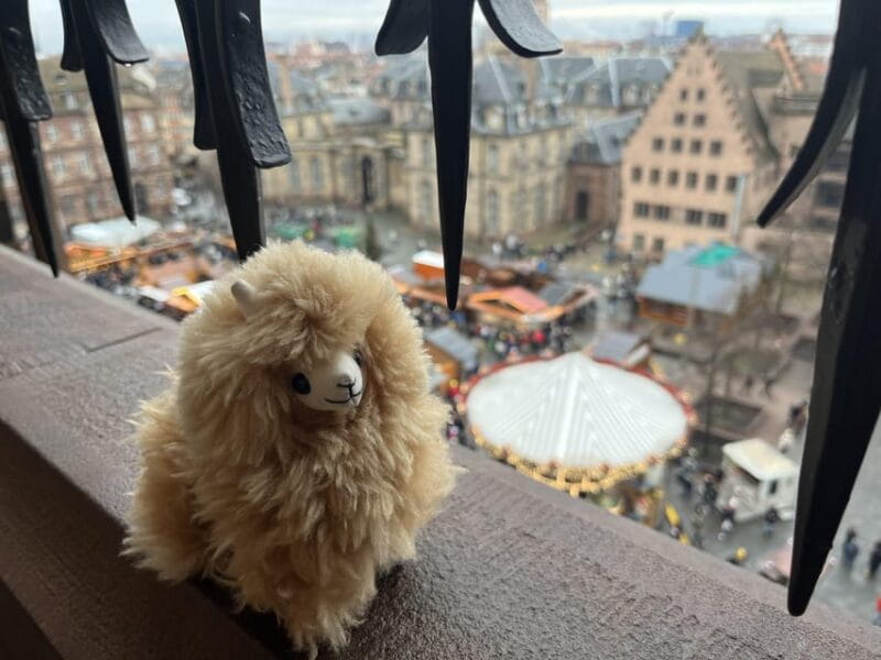 Strasbourg: Colmar, Villages & Castle Private Day Trip - Exploring Château du Haut-Koenigsbourg: A Medieval Marvel