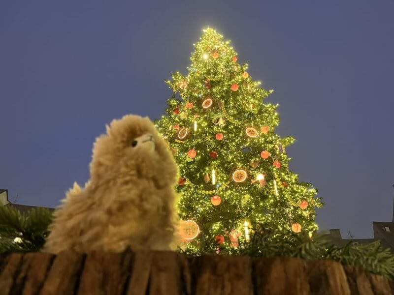 Strasbourg: Colmar, Villages & Castle Private Day Trip - Logistics, Cost, and Who This Tour is Best For