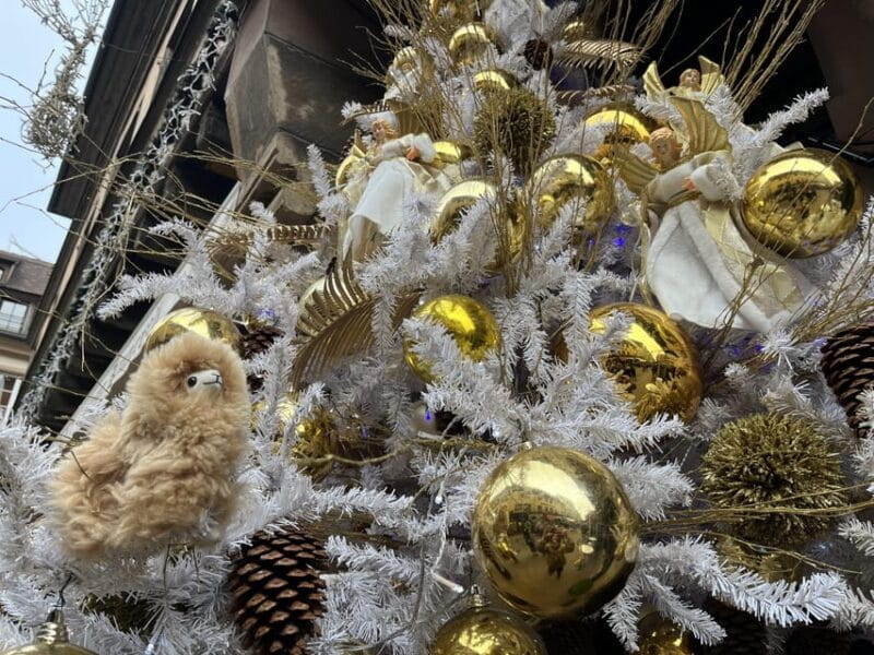 Strasbourg: Colmar, Villages & Castle Private Day Trip - Final Thoughts: Who Should Consider This Tour?