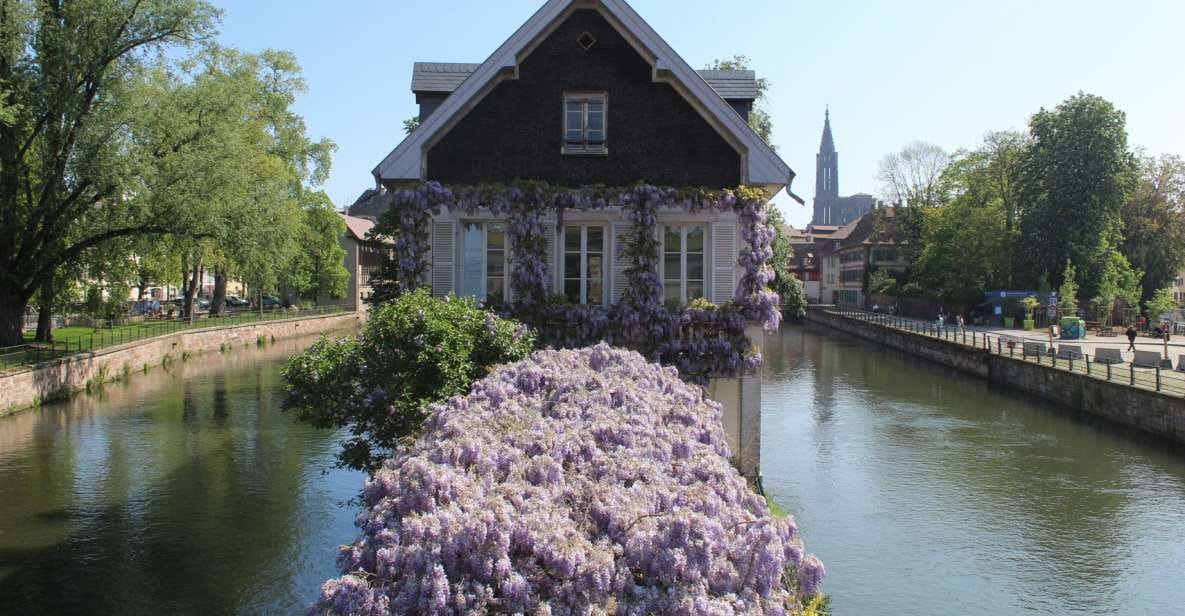 Strasbourg: Walking Tour With Local Guide - Stops and Highlights