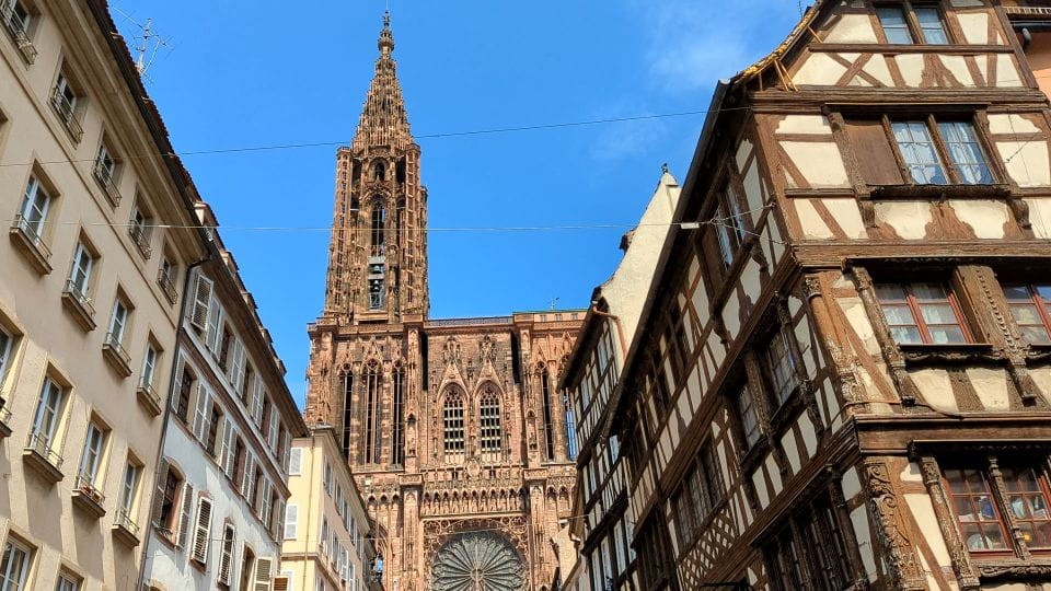 Strasbourg: Walking Tour With Local Guide - Discovering Local Living