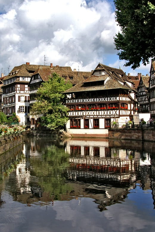 Strasbourg : Wine Tour by bike with a local - Exploring Strasbourg by Bike: The Itinerary Breakdown