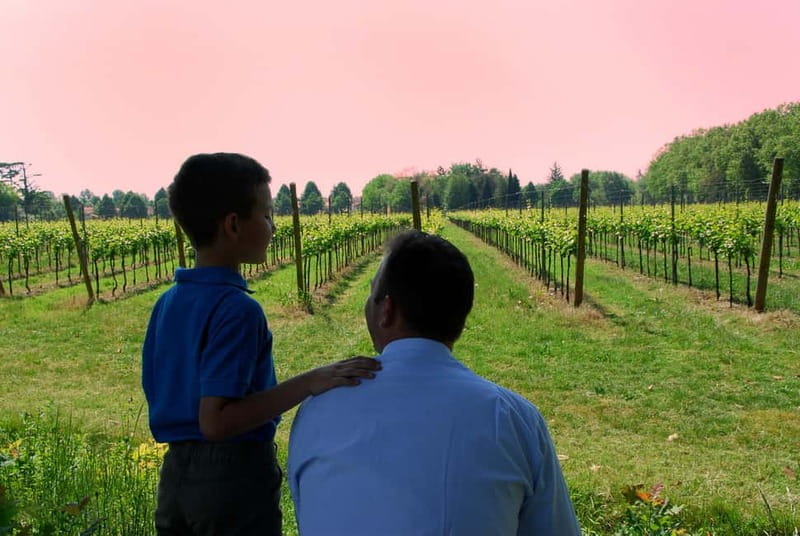 Strassoldo: Winery Tour and Tasting with the Owner - Final Thoughts: Why You Should Consider This Tour