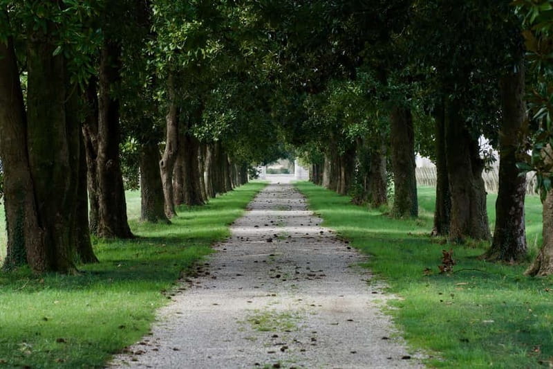 Strassoldo: Winery Tour and Tasting with the Owner - FAQ