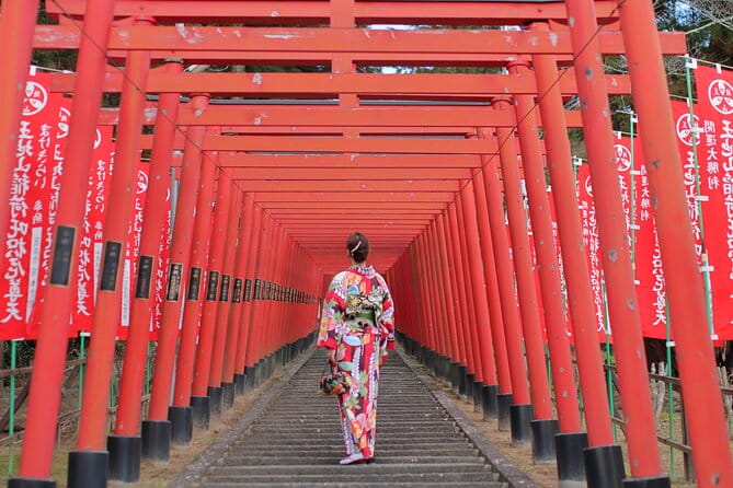 Strawberry Picking and Exploring Beautiful City of Tamba Sasayama - Private Transportation for a Comfortable Journey