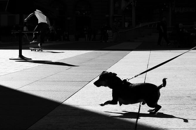 Street Photography Workshops in London - Key points/Takeaways