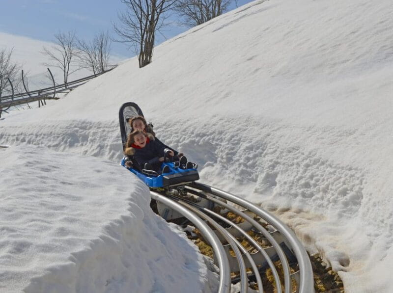 Stresa: Alpyland Alpine Coaster Ride on Mount Mottarone - Key points / Takeaways