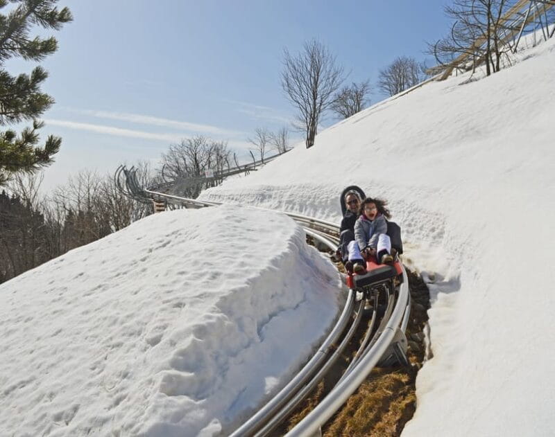 Stresa: Alpyland Alpine Coaster Ride on Mount Mottarone - Price and Logistics: Is It Worth It?
