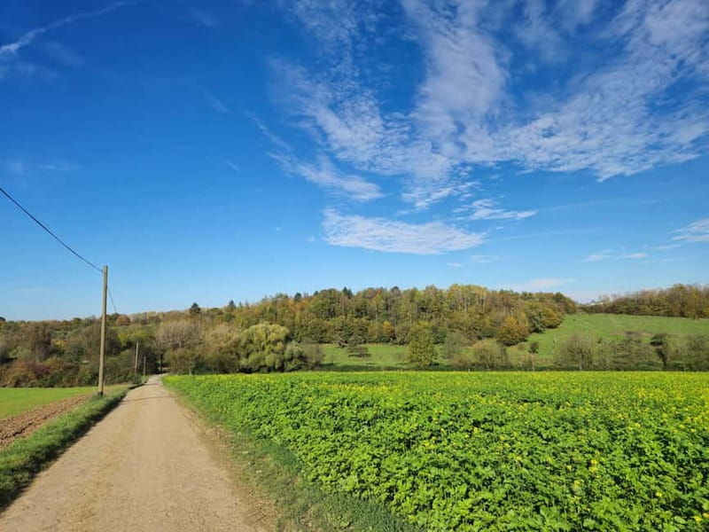 Stuttgart: Boßeltour with guide - Key points / Takeaways