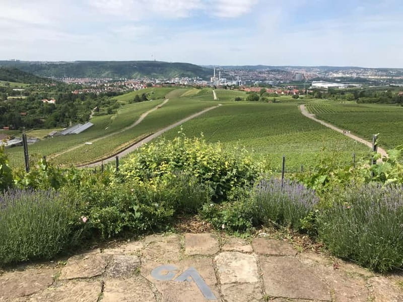 Stuttgart: E-bike wine tour including tasting - Exploring Stuttgart’s Vineyards: A Deep Dive