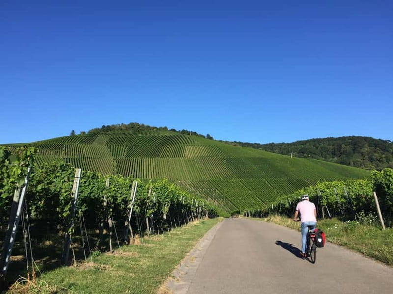 Stuttgart: E-bike wine tour including tasting - Final Thoughts: Is It Worth It?