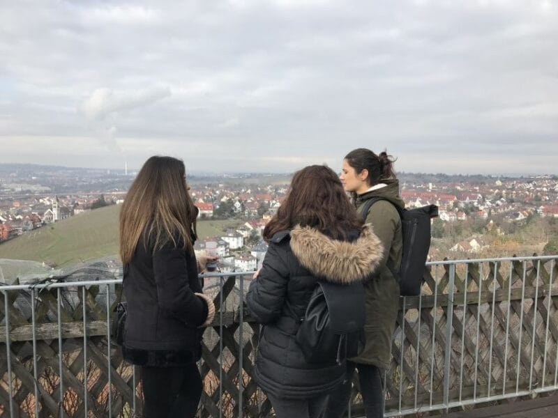 Stuttgart: Guided Glühwein Tour - Historical Insights and Local Secrets