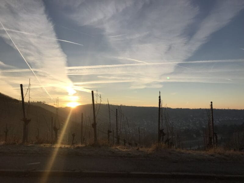 Stuttgart: Guided Glühwein Tour - Who Will Love This Tour?