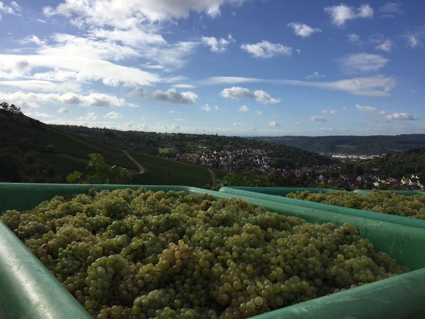 Stuttgart: Guided Wine Walk & Wine Tasting - Meeting Point Options