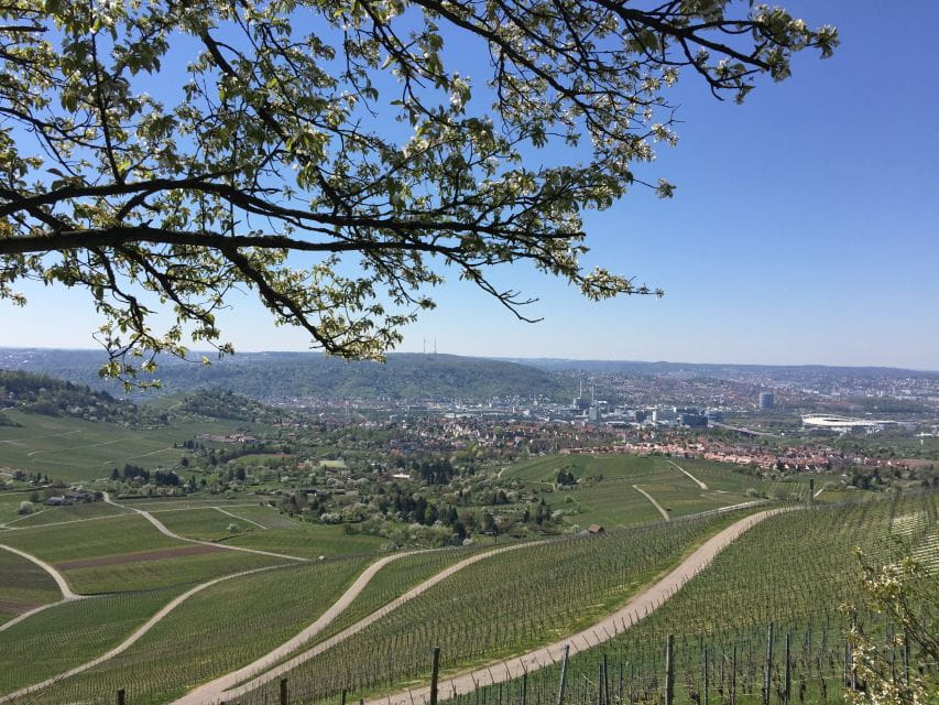 Stuttgart: Guided Wine Walk & Wine Tasting - Taste Authentic Stuttgart Wines