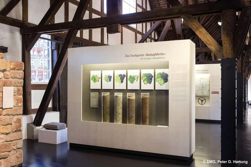 Stuttgart: Taster tour of the Wine Museum incl. 0.1 l wine - Exploring the Stuttgart Wine Museum: A Closer Look