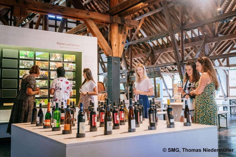 Stuttgart: Taster tour of the Wine Museum incl. 0.1 l wine - Why This Tour Offers Good Value