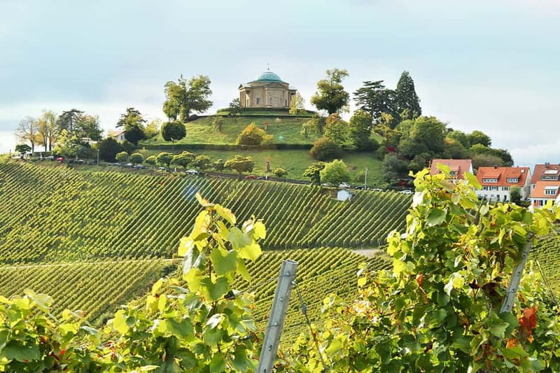 Stuttgart: Wine hike with wine tasting - Final Thoughts: The Best of Stuttgart’s Wine Scene