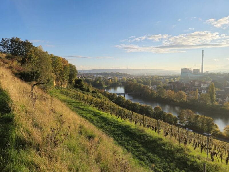 Stuttgart: Wine & Tapas Boat Tour on the Neckar - What to Expect on the Cruise