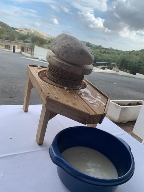 Subbética: artisanal cheese making workshop in Los Balanchares - Exploring the Cheese-Making Experience in Detail
