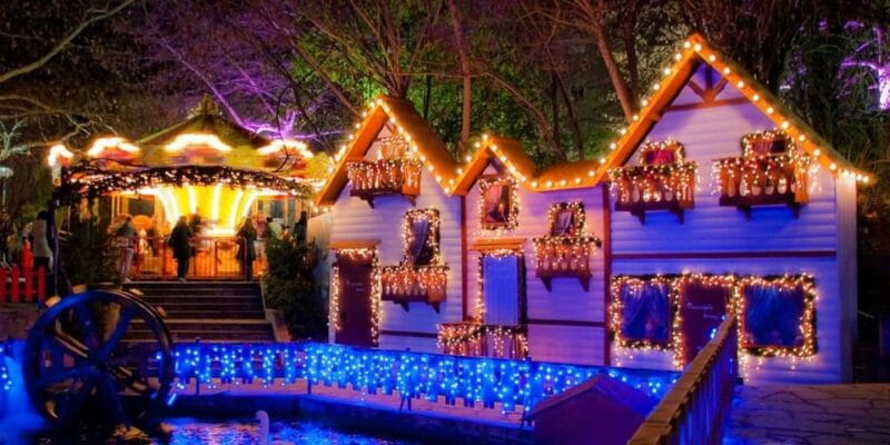 Sublime Christmas Tour in Halkidiki - Who This Tour Is Perfect For