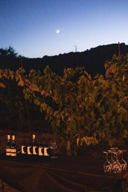 Sugano: Goblets at Sunset Experience - An In-Depth Look at the Sugano Sunset Wine Tasting