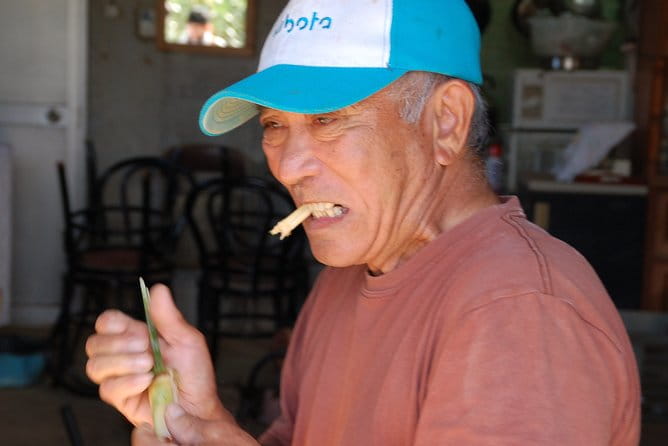 Sugarcane Cutting Experience With Okinawas Grandfather - Bidding Farewell to the Farm