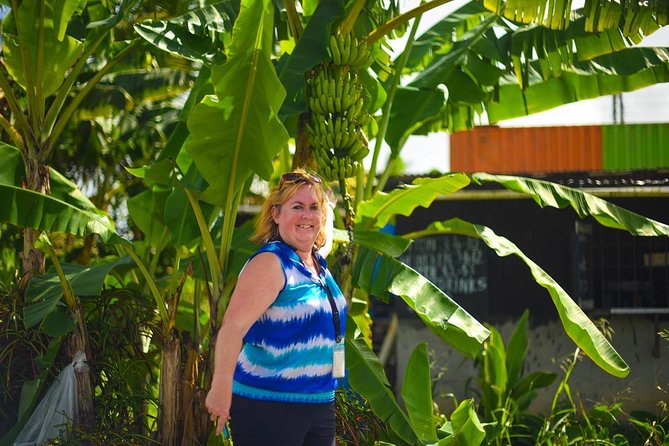 Sulphur Springs Mudbath & Botanical Gardens Tour - All Inclusive - Contact Information