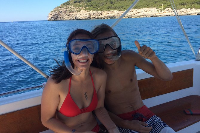 Summer Tour: Dolphin Watching and Guided Snorkeling - Marine Flora and Fauna