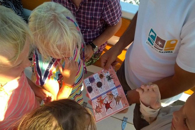 Summer Tour: Dolphin Watching and Guided Snorkeling - Cancellation Policy