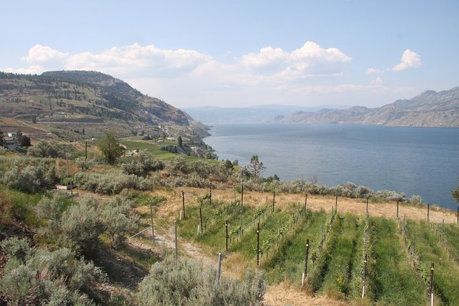 Summerland Private Wine Tour - Half Day - Inclusions and Highlights