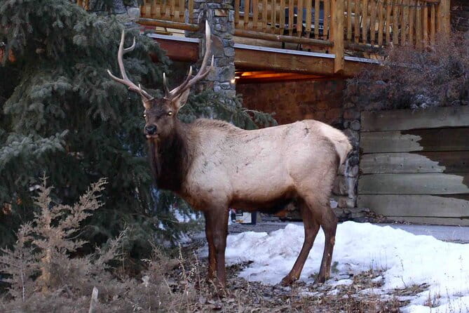 Sumo! Grand Tournament Tokyo - Customer Feedback and Reviews