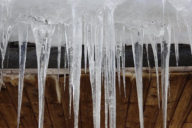 Sumo! Grand Tournament Tokyo - What to Expect at the Tournament