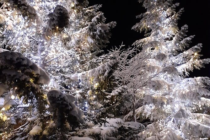 Sumo! Grand Tournament Tokyo - Additional Information for Visitors