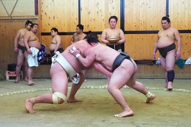 Sumo Morning Training Watch in Tokyo - Key Points