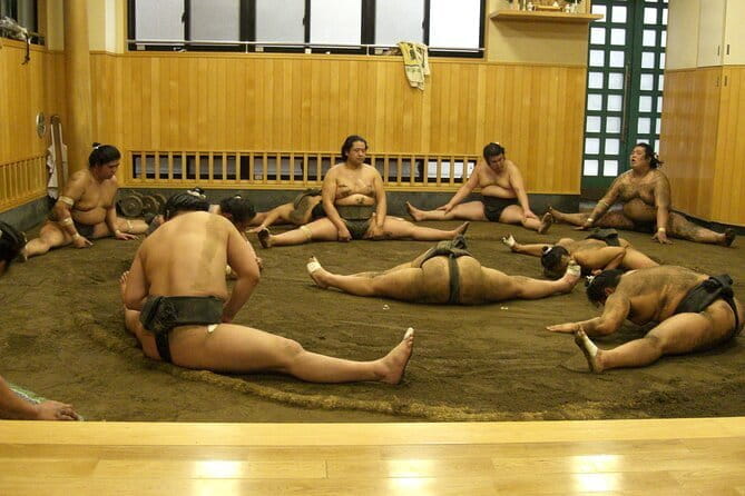 Sumo Morning Training Watch in Tokyo - Accessibility Considerations