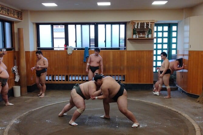 Sumo Practice Watching and Japan's Beautiful Culture and History - Tour Experience and Expectations