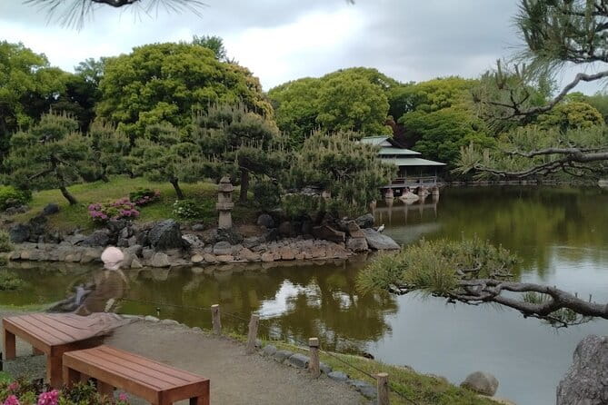 Sumo Practice Watching and Japan's Beautiful Culture and History - Discovering the Beauty of Tokyo