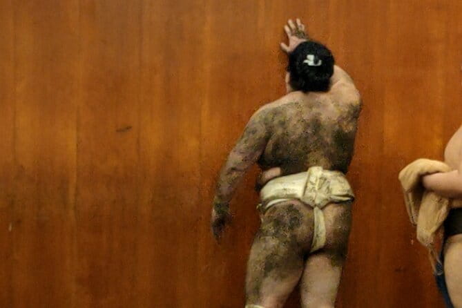 Sumo Training Watching Experience - Understanding the Logistics and Timings