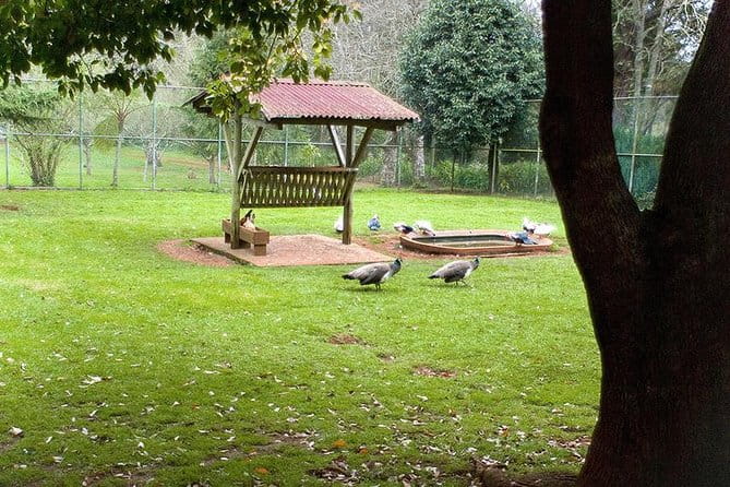 Sunday Market and Gardens Tour - Final Thoughts