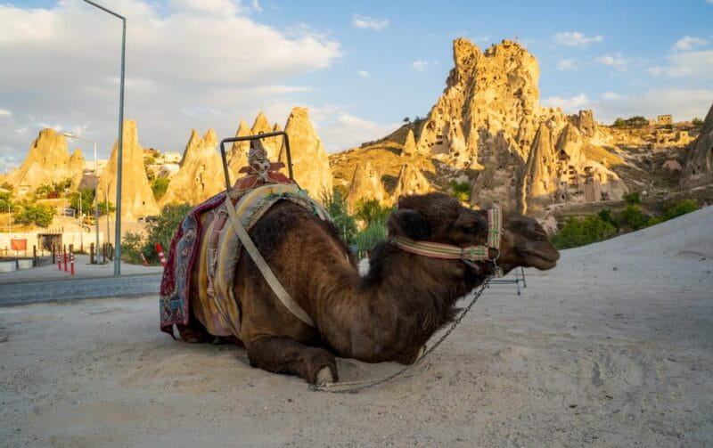 Sunrise and Sunset Camel Ride with Stunning Cappadocia Views - FAQs