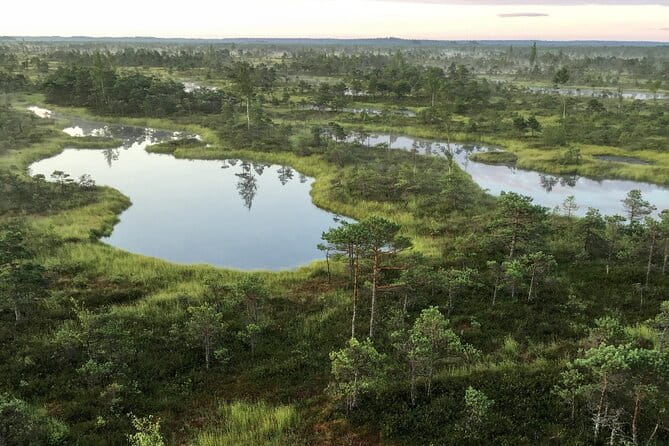 Sunrise at Kemeri National Park - An In-Depth Look at Kemeri National Park Sunrise Tour