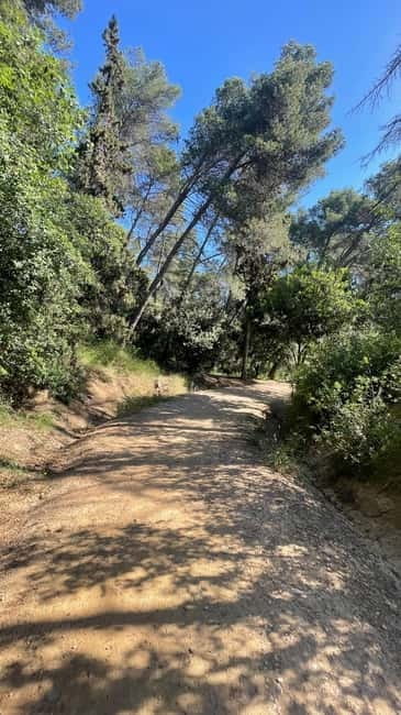 Sunrise at Tibidabo + local breakfast with views - Key Points / Takeaways