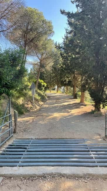 Sunrise at Tibidabo + local breakfast with views - The Moment of Sunrise: A City Awakening